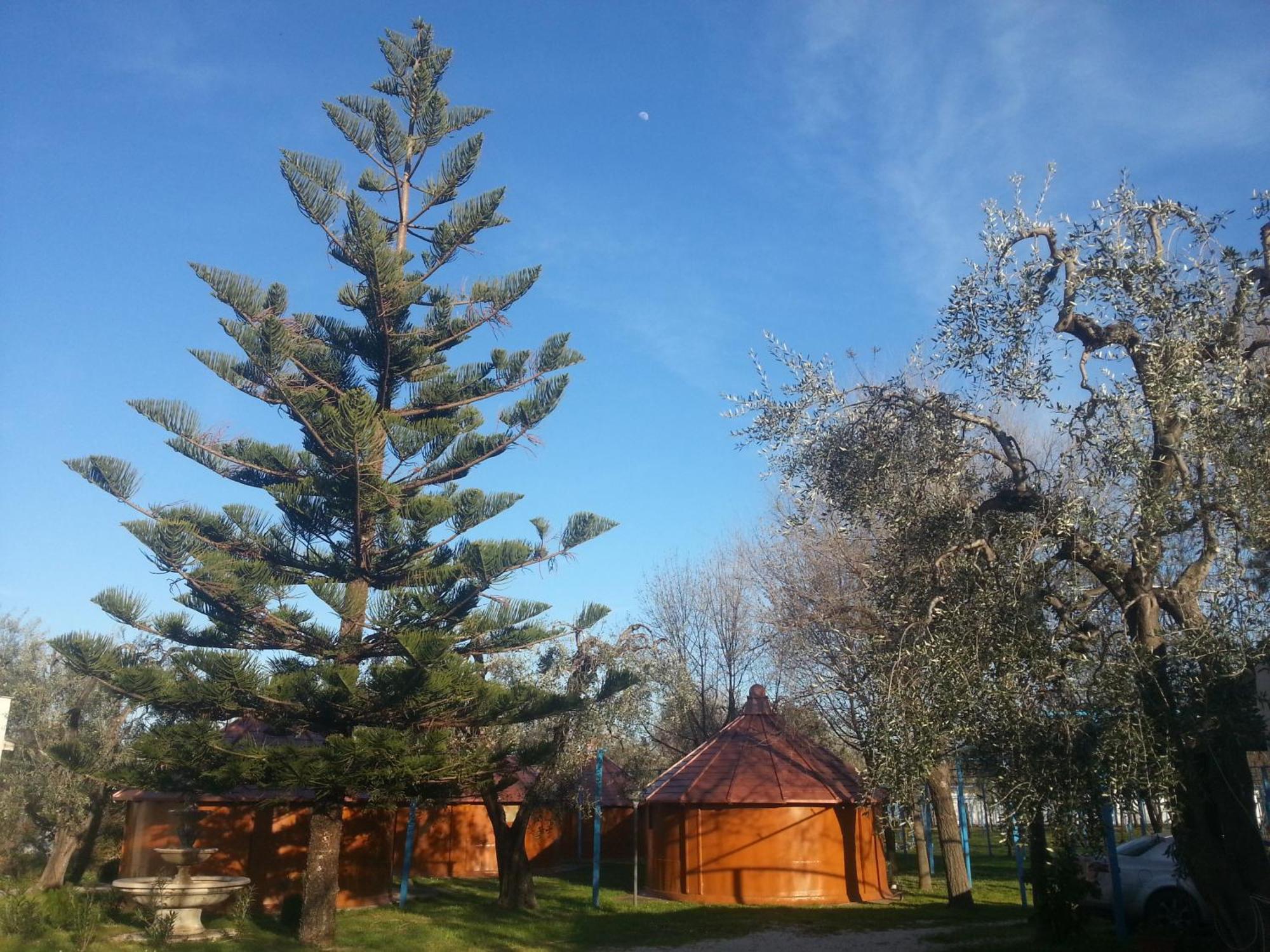 Mattinata Camping Exterior foto